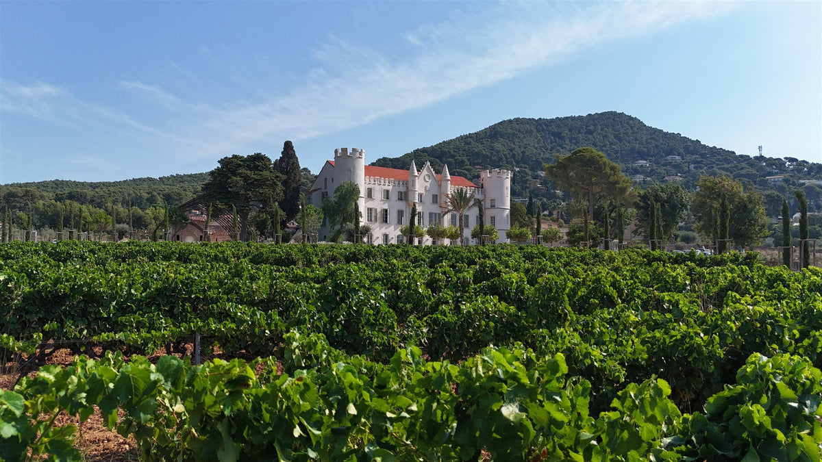 Lamour White – Côtes de Provence